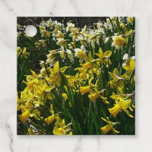 Yellow and White Daffodils Spring Flowers Favour Tags