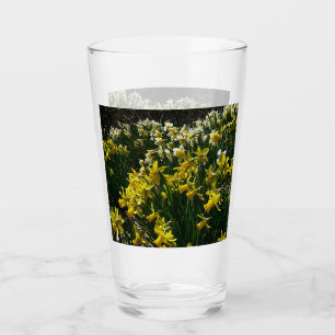 Yellow and White Daffodils Spring Flowers Glass