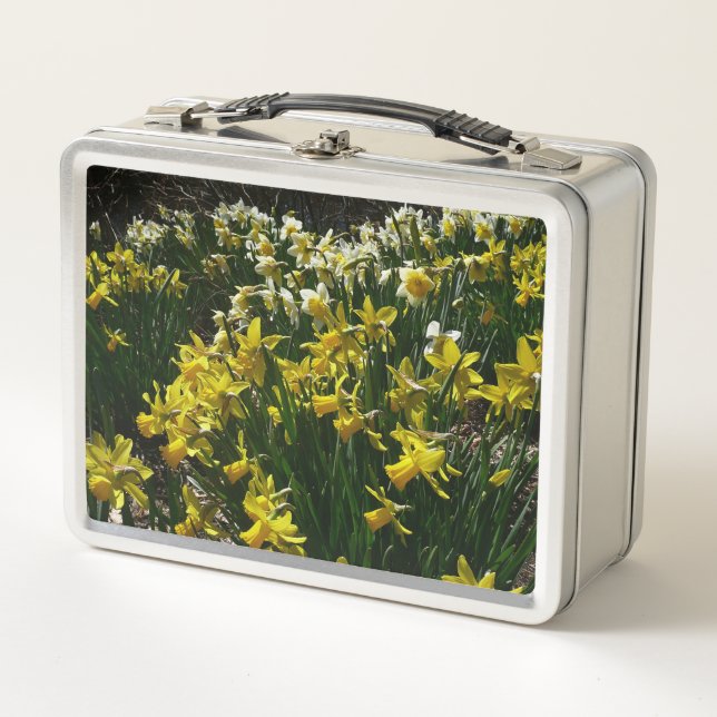 Yellow and White Daffodils Spring Flowers Metal Lunch Box (Front)