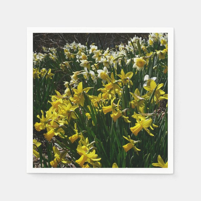Yellow and White Daffodils Spring Flowers Napkin (Front)