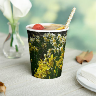 Yellow and White Daffodils Spring Flowers Paper Cups