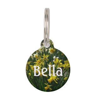 Yellow and White Daffodils Spring Flowers Pet Tag