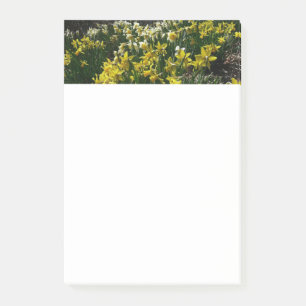 Yellow and White Daffodils Spring Flowers Post-it Notes