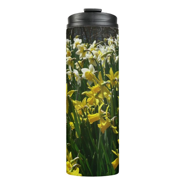 Yellow and White Daffodils Spring Flowers Thermal Tumbler (Front)