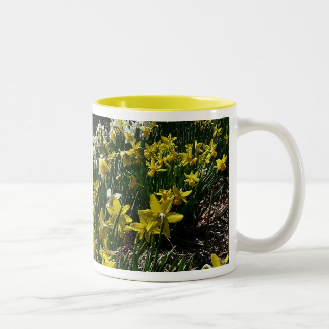 Yellow and White Daffodils Spring Flowers Two-Tone Coffee Mug (Right)