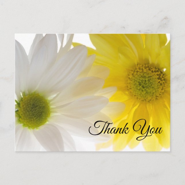 Yellow and White Daisies Thank You Postcard (Front)