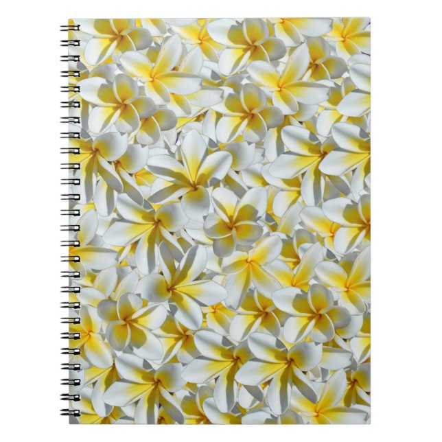 Yellow And White Frangipanis, Notebook (Front)