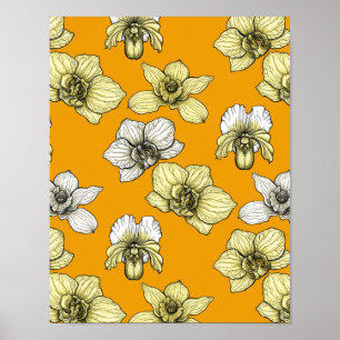 Yellow and white orchid flowers poster
