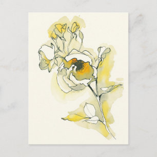 Yellow and White Roses Postcard