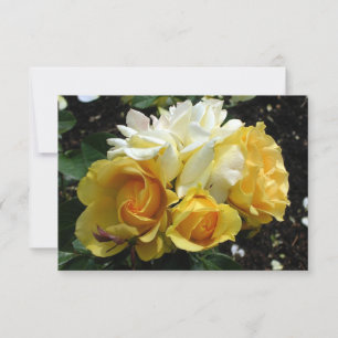 Yellow and White Roses Thank You Card