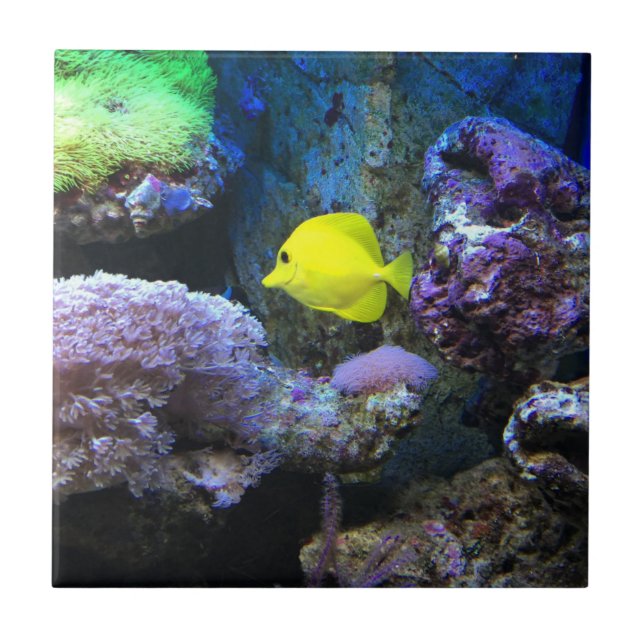 Yellow Angelfish Tile (Front)