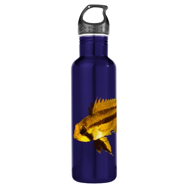 Yellow Apistogramma Fish Fan 710 Ml Water Bottle (Front)