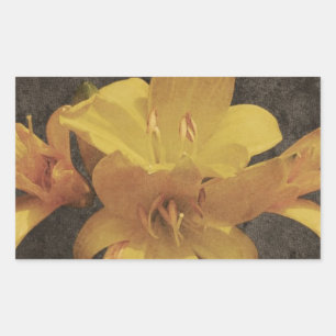 Yellow Asiatic lily on old grunged canvas backgrou Rectangular Sticker