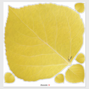 Yellow Aspen Leaf #5