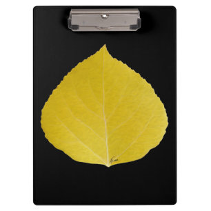 Yellow Aspen Leaf #5 Clipboard