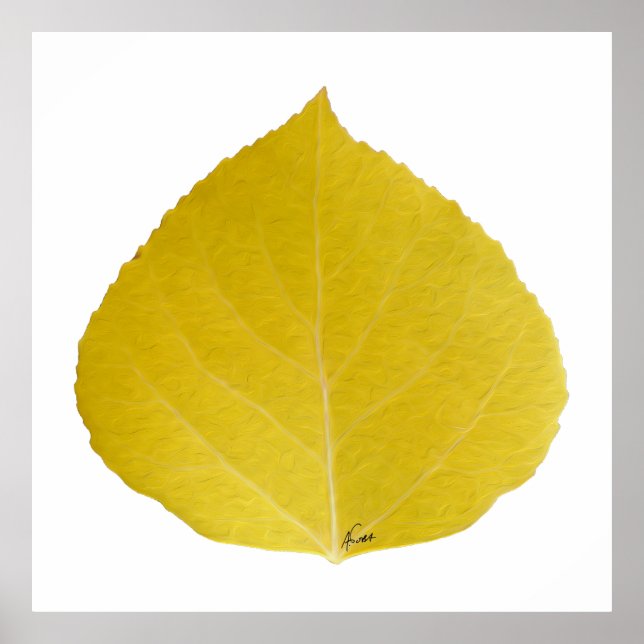Yellow Aspen Leaf #5 Poster (Front)