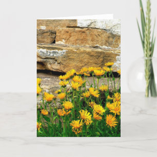 Yellow Asters Thank You Card