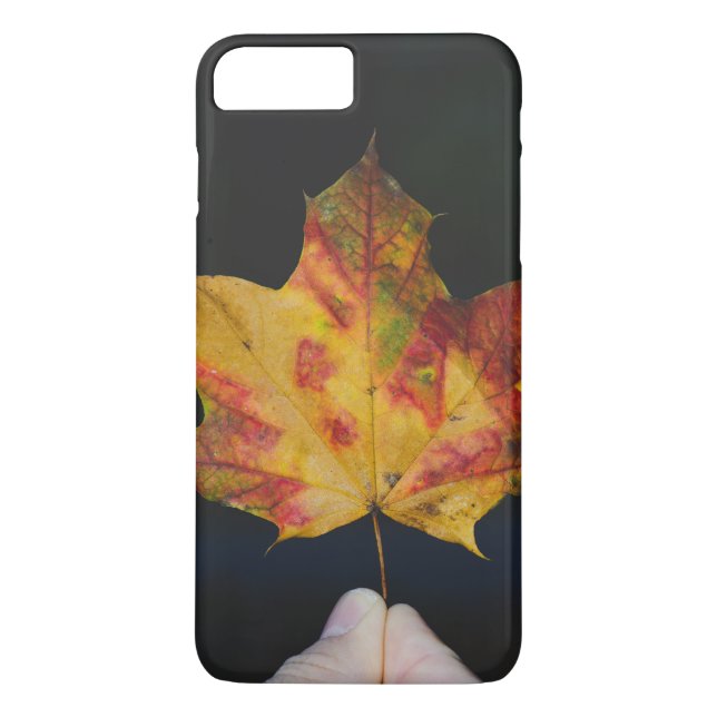 Yellow autumn leaf macro Case-Mate iPhone case (Back)