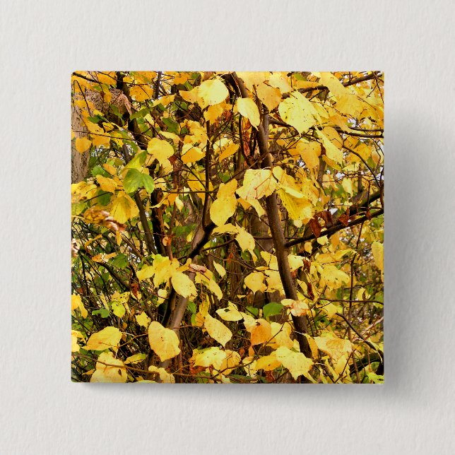 YELLOW AUTUMN LEAVES 15 CM SQUARE BADGE (Front)