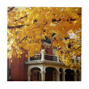 Yellow Autumn Leaves and Old Brick House Tile