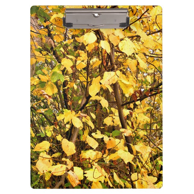 YELLOW AUTUMN LEAVES CLIPBOARD (Front)