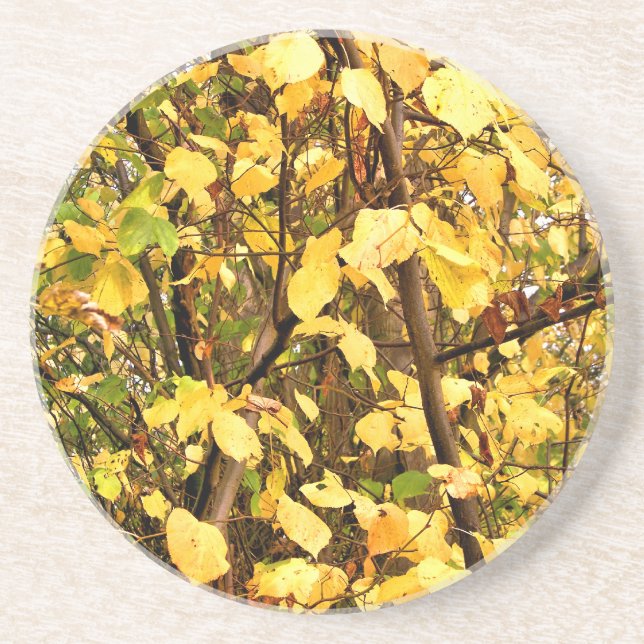 YELLOW AUTUMN LEAVES COASTER (Front)