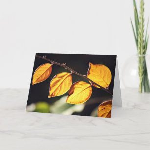 Yellow Autumn Leaves Note Card