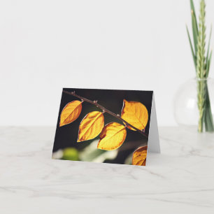 Yellow Autumn Leaves Note Card