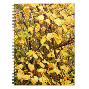 YELLOW AUTUMN LEAVES NOTEBOOK