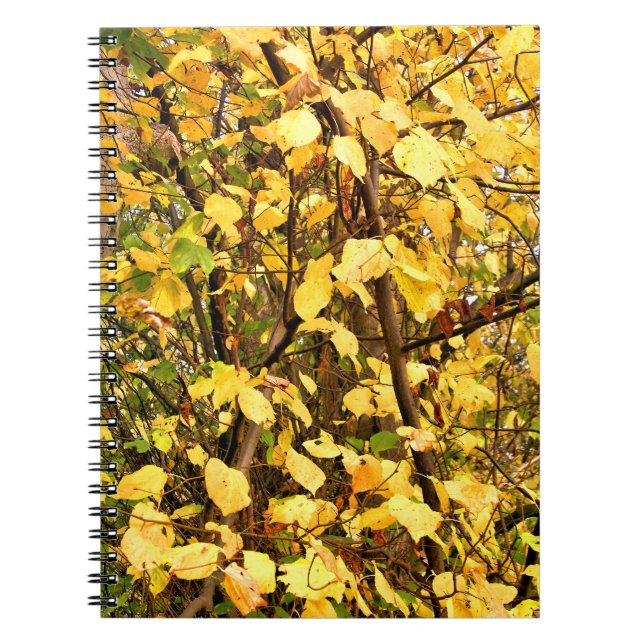 YELLOW AUTUMN LEAVES NOTEBOOK (Front)