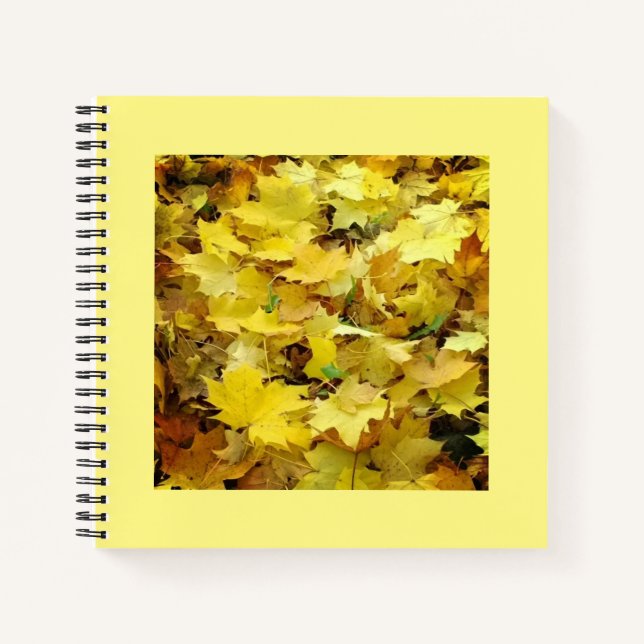 Yellow Autumn Leaves Notebook (Front)