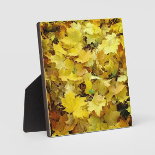 Yellow Autumn Leaves Plaque