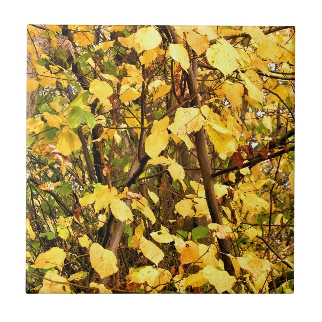 YELLOW AUTUMN LEAVES TILE (Front)