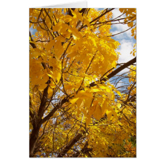 Yellow Autumn Majesty