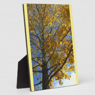 Yellow Autumn Tree Plaque