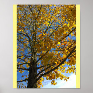 Yellow Autumn Tree Poster