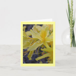 Yellow Azalea flower greeting card