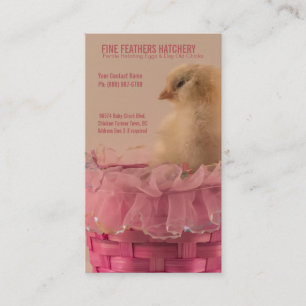 Yellow Baby Chick in Pink Ruffle Basket Hatchery Business Card