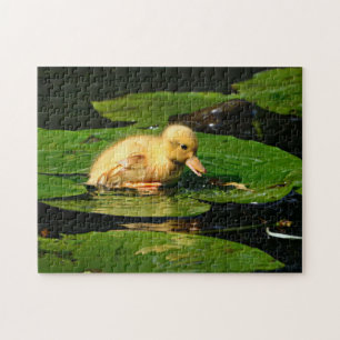 Yellow Baby Duck Floating on Lily Pads Jigsaw Puzzle