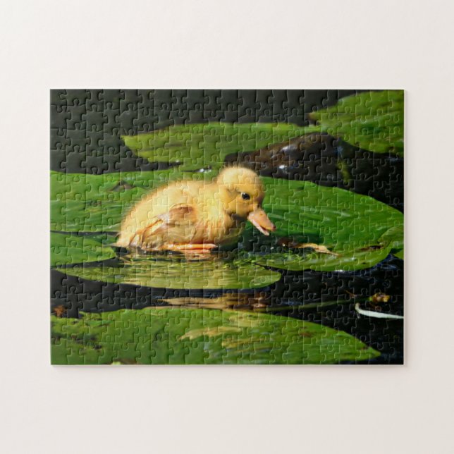 Yellow Baby Duck Floating on Lily Pads Jigsaw Puzzle (Horizontal)