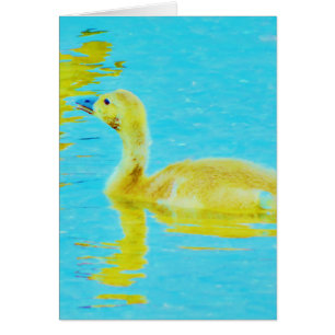 Yellow Baby goose with light blue water