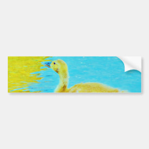 Yellow Baby goose with light blue water Bumper Sticker
