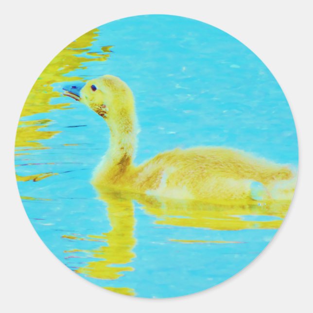Yellow Baby goose with light blue water Classic Round Sticker (Front)