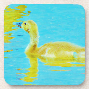 Yellow Baby goose with light blue water Coaster
