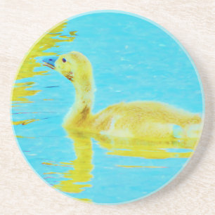 Yellow Baby goose with light blue water Coaster