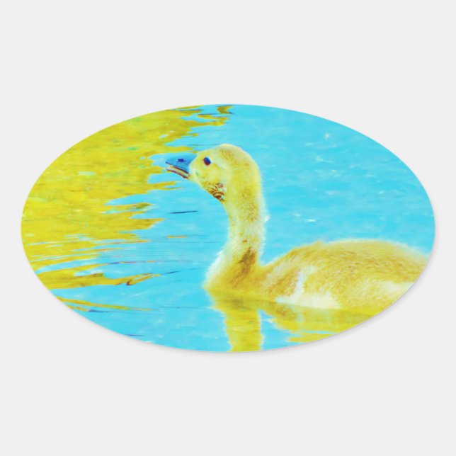 Yellow Baby goose with light blue water Oval Sticker (Front)
