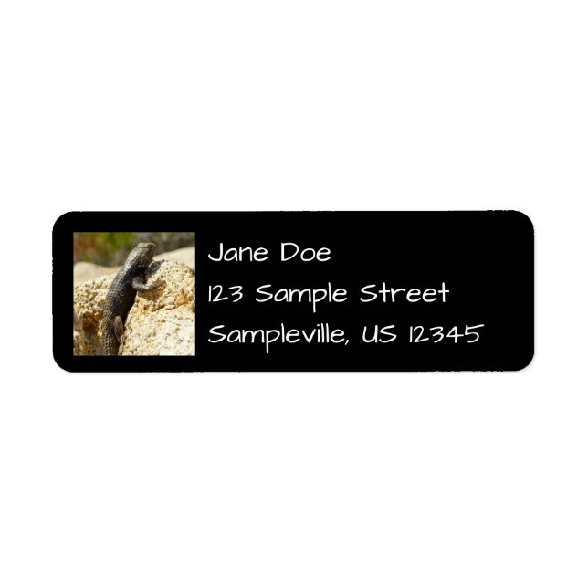 Yellow-Backed Spiny Lizard at Joshua Tree (Front)