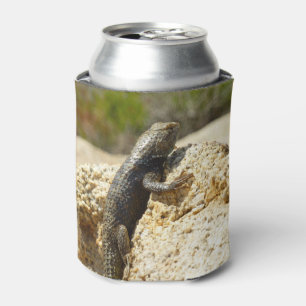 Yellow-Backed Spiny Lizard at Joshua Tree Can Cooler