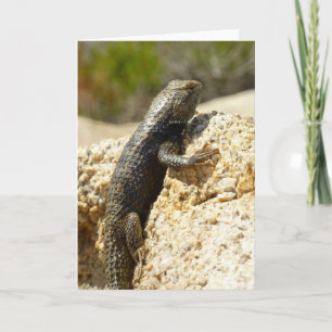 Yellow-Backed Spiny Lizard at Joshua Tree Card
