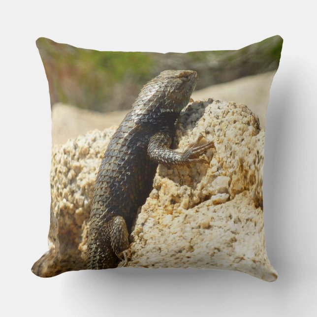 Yellow-Backed Spiny Lizard at Joshua Tree Cushion (Front)